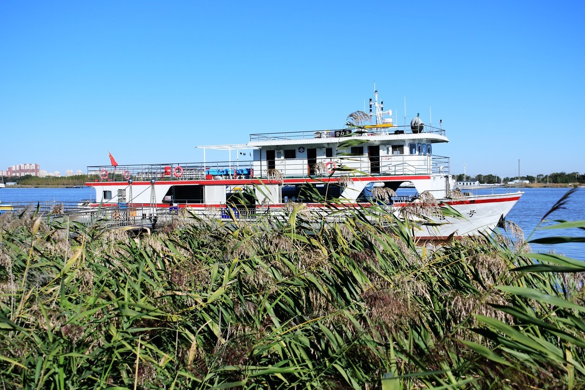 周日城边溜达抓住秋天的小尾巴
