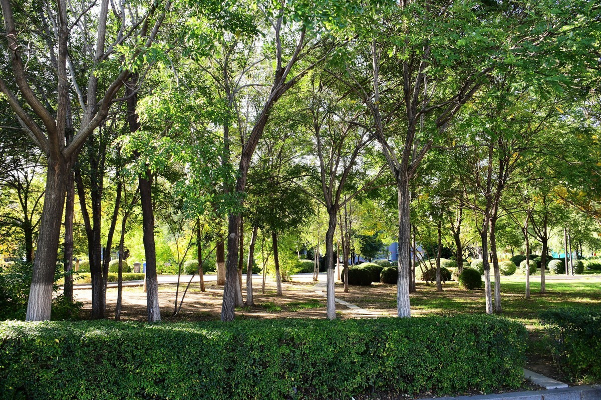 周日城边溜达抓住秋天的小尾巴