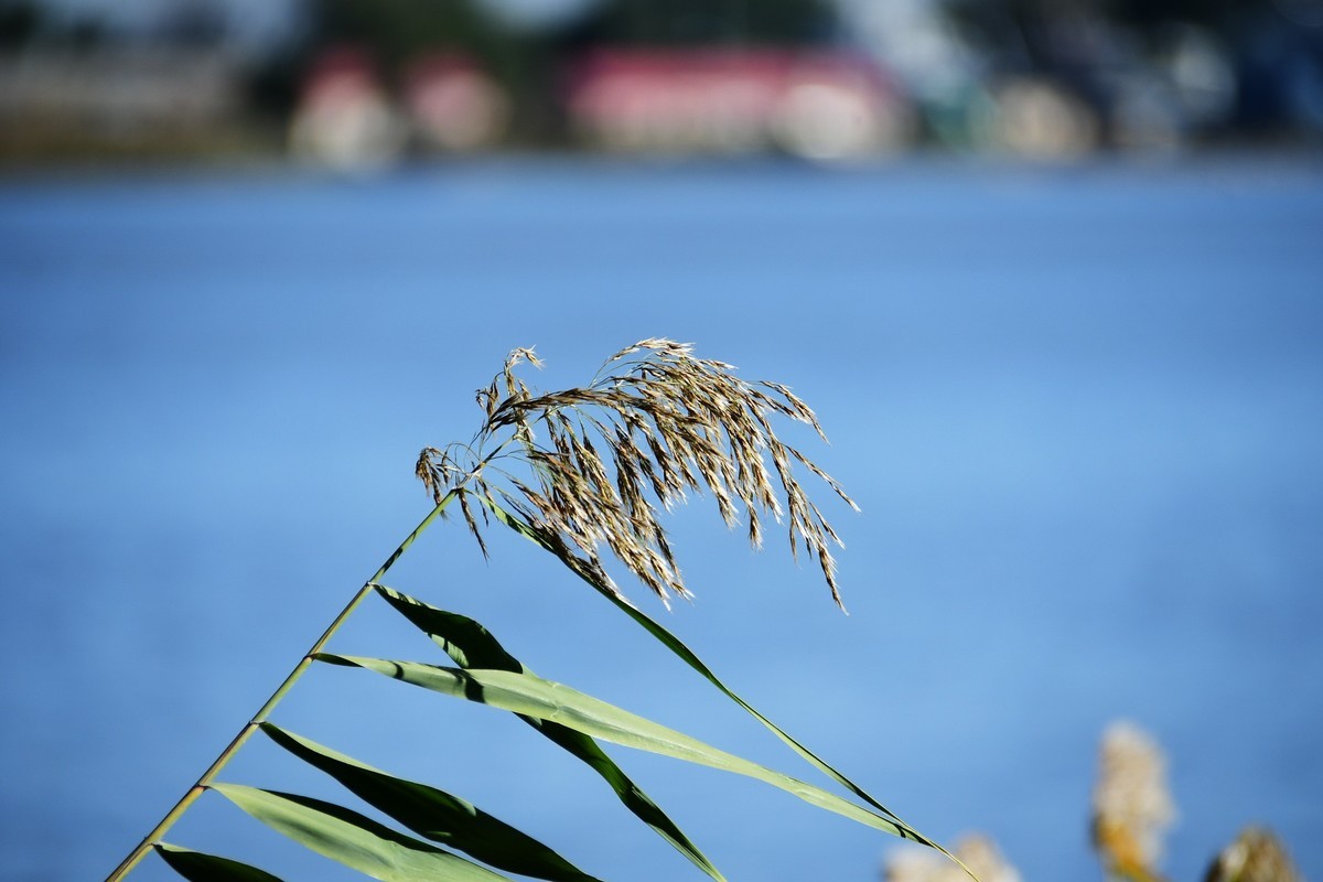 周日城边溜达抓住秋天的小尾巴
