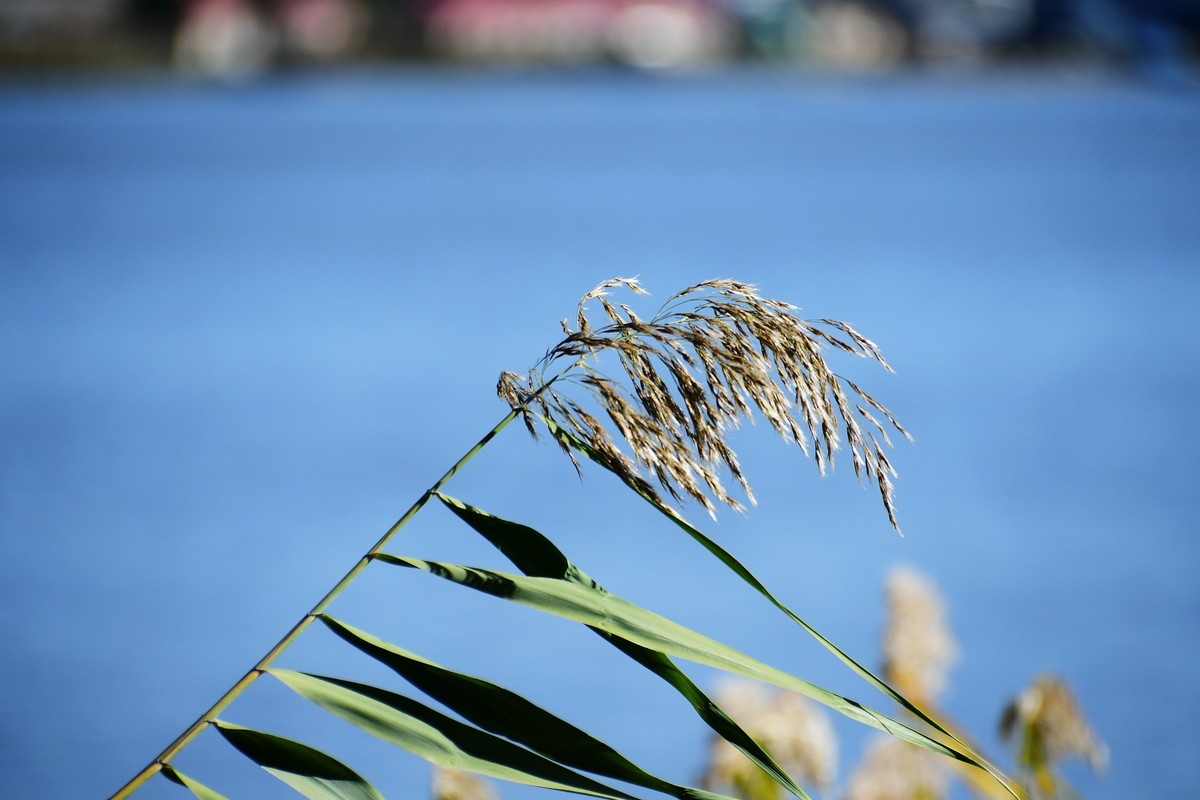 周日城边溜达抓住秋天的小尾巴