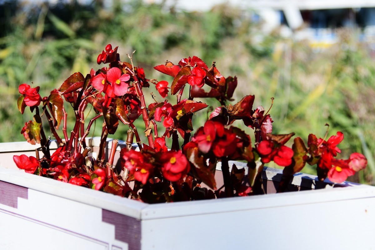 周日城边溜达抓住秋天的小尾巴