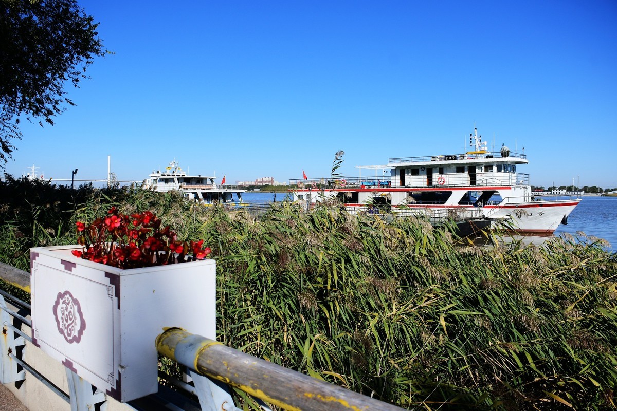 周日城边溜达抓住秋天的小尾巴