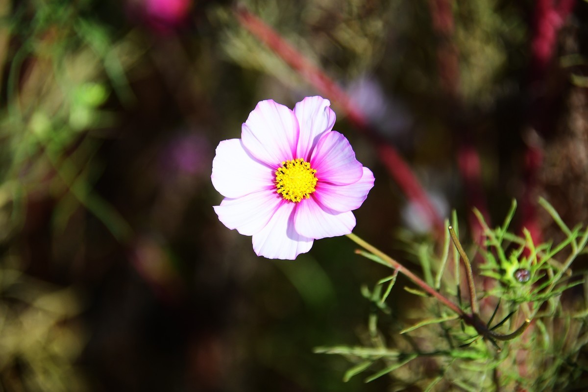 周日城边溜达抓住秋天的小尾巴