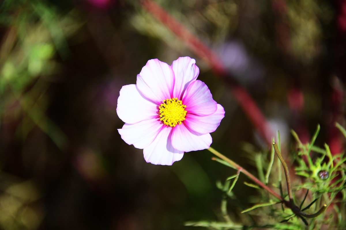 周日城边溜达抓住秋天的小尾巴