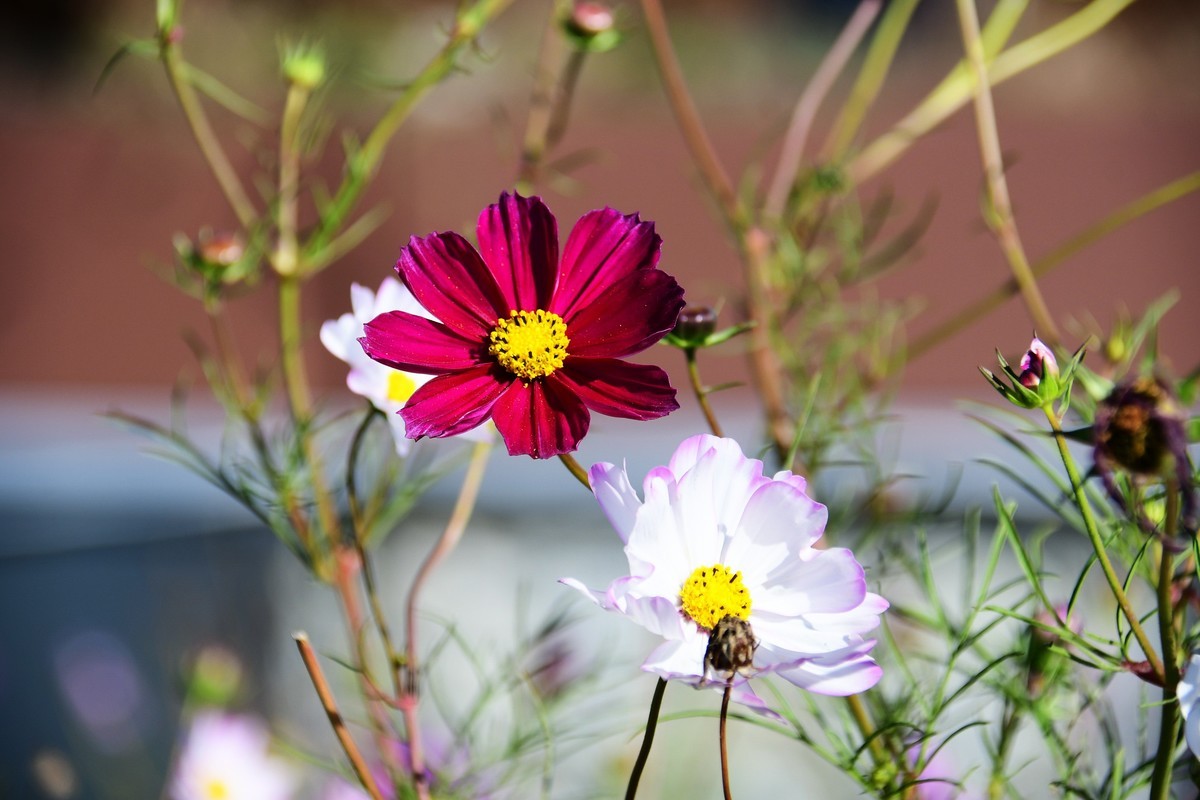 周日城边溜达抓住秋天的小尾巴