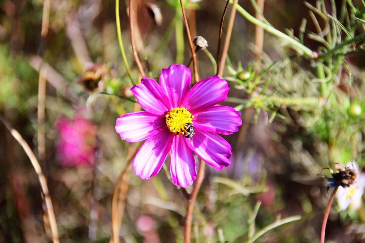 周日城边溜达抓住秋天的小尾巴