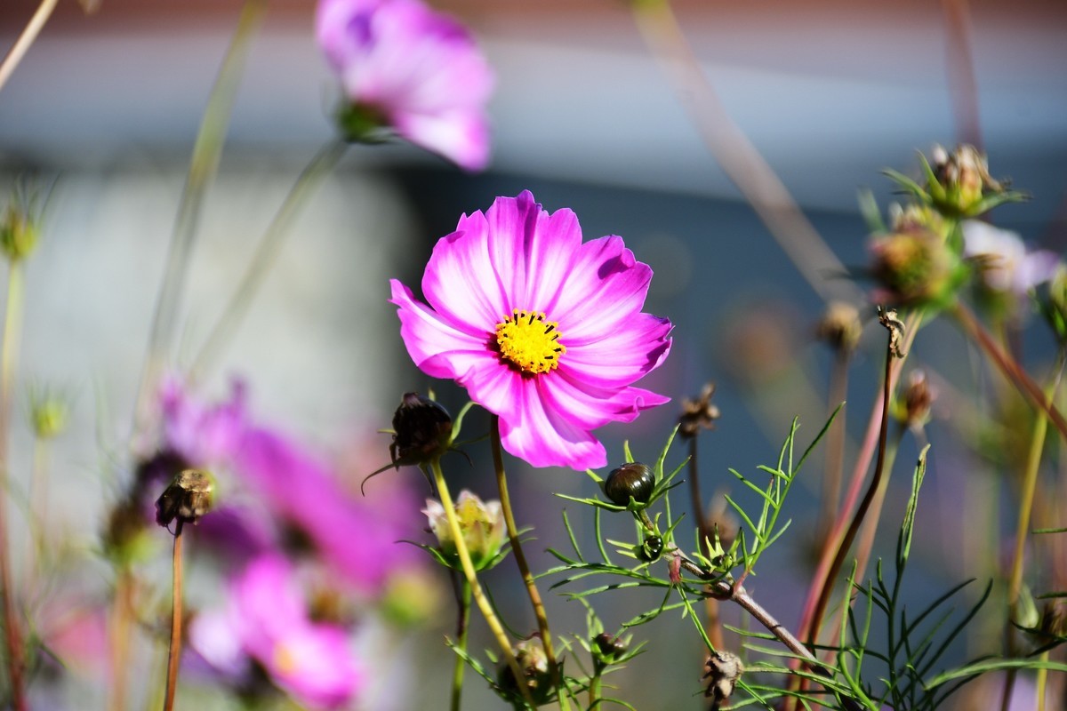周日城边溜达抓住秋天的小尾巴