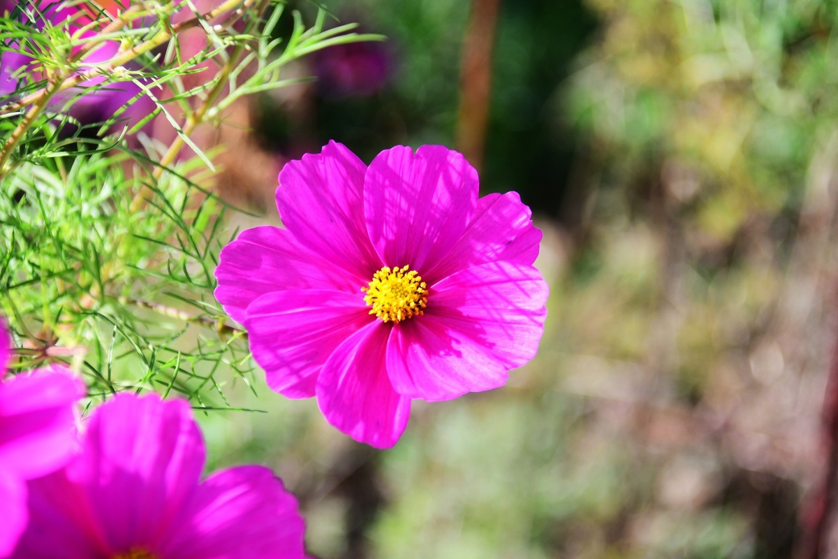 周日城边溜达抓住秋天的小尾巴