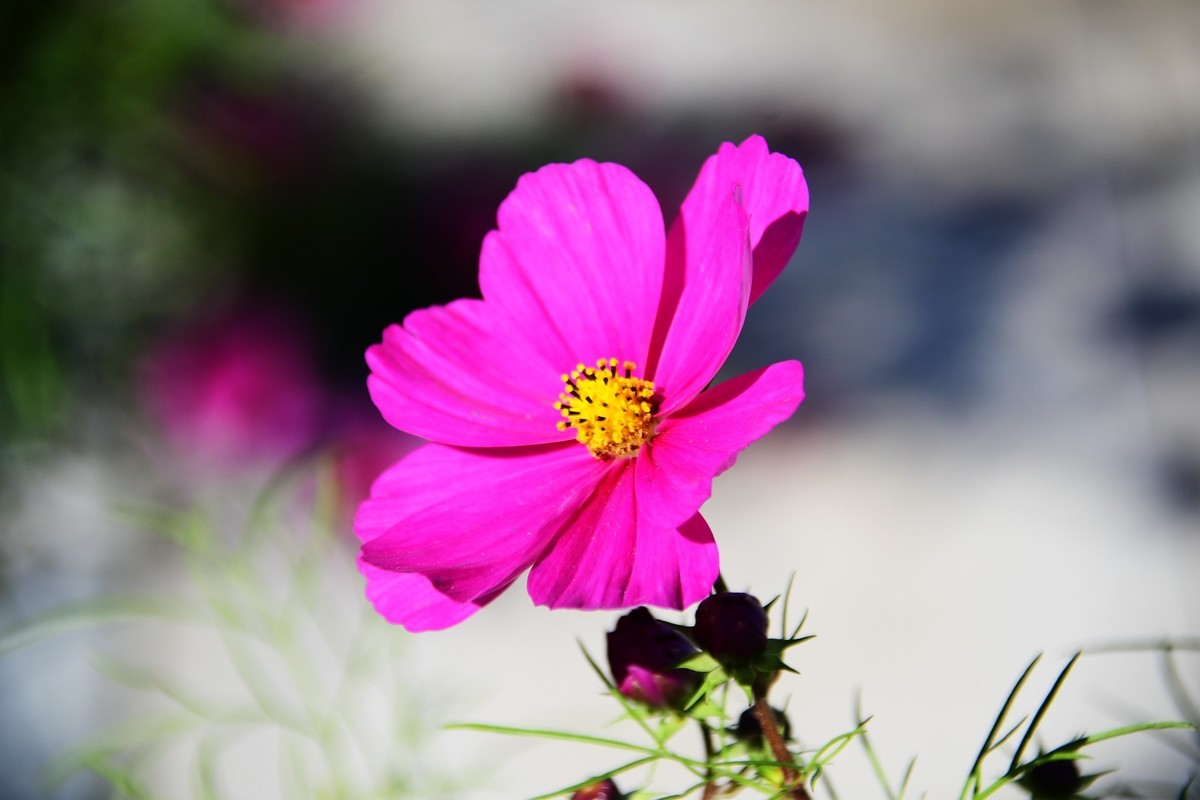 周日城边溜达抓住秋天的小尾巴