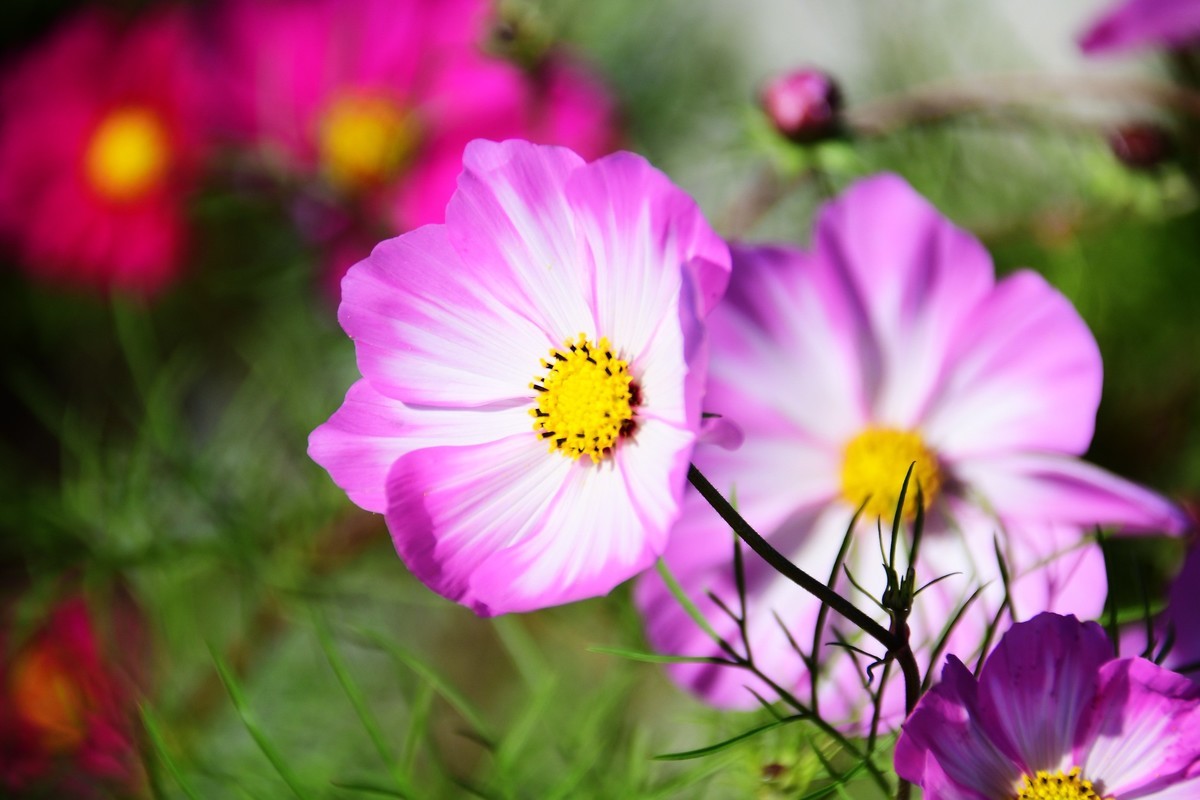 周日城边溜达抓住秋天的小尾巴