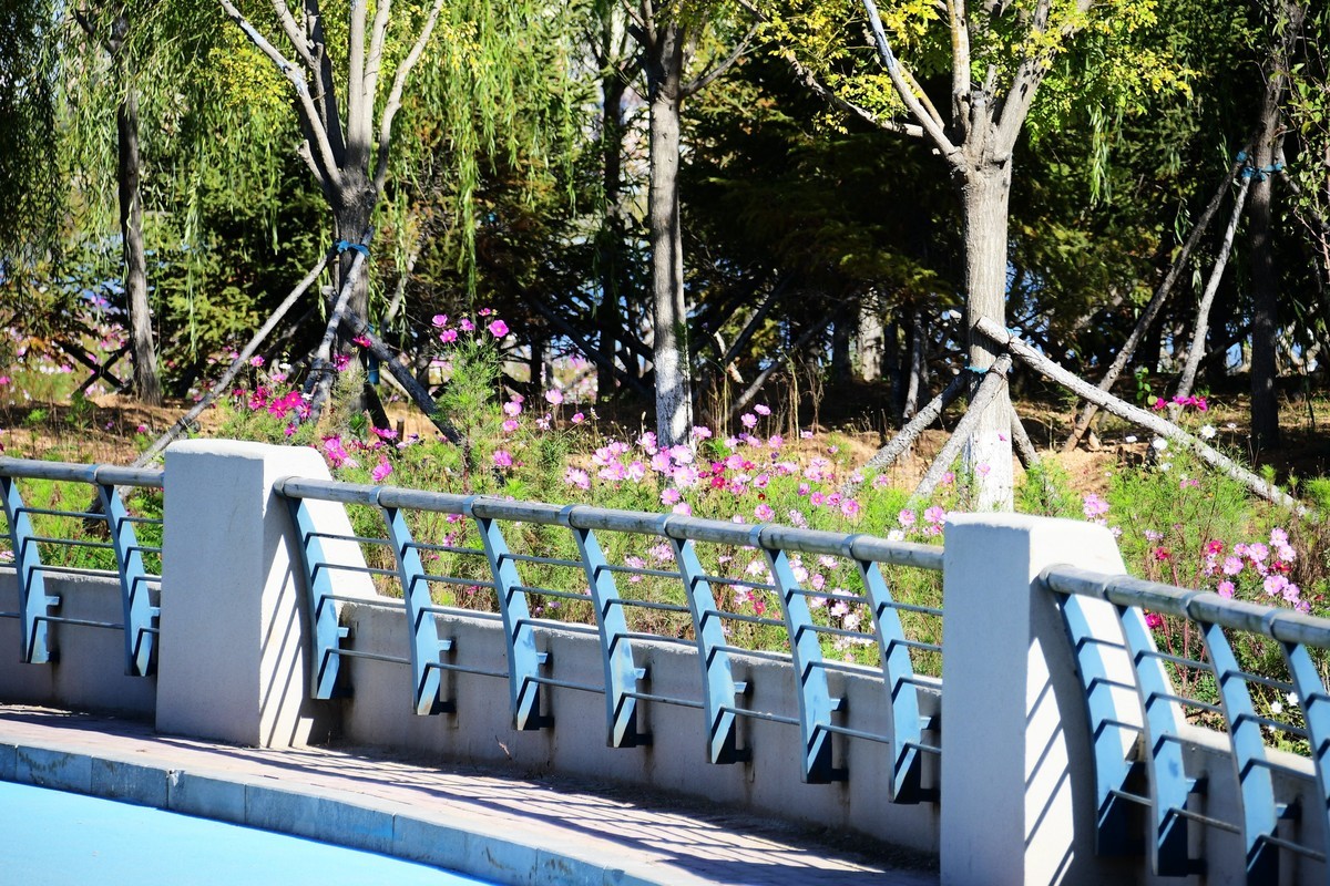 周日城边溜达抓住秋天的小尾巴