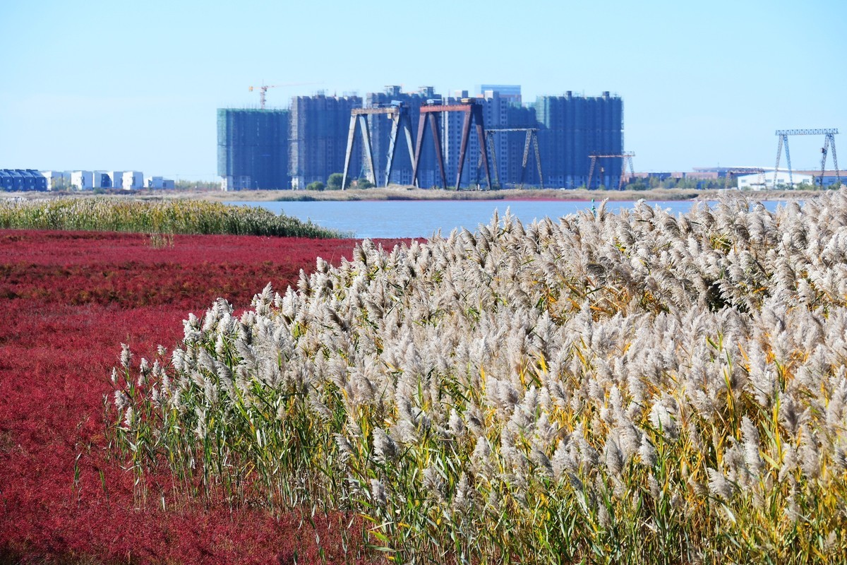 周日城边溜达抓住秋天的小尾巴