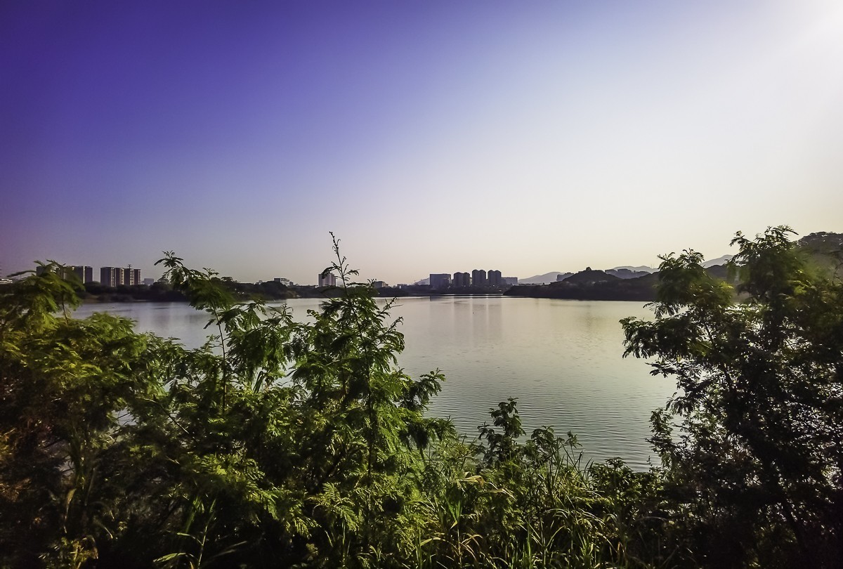 深圳立新湖公园～ 掠影