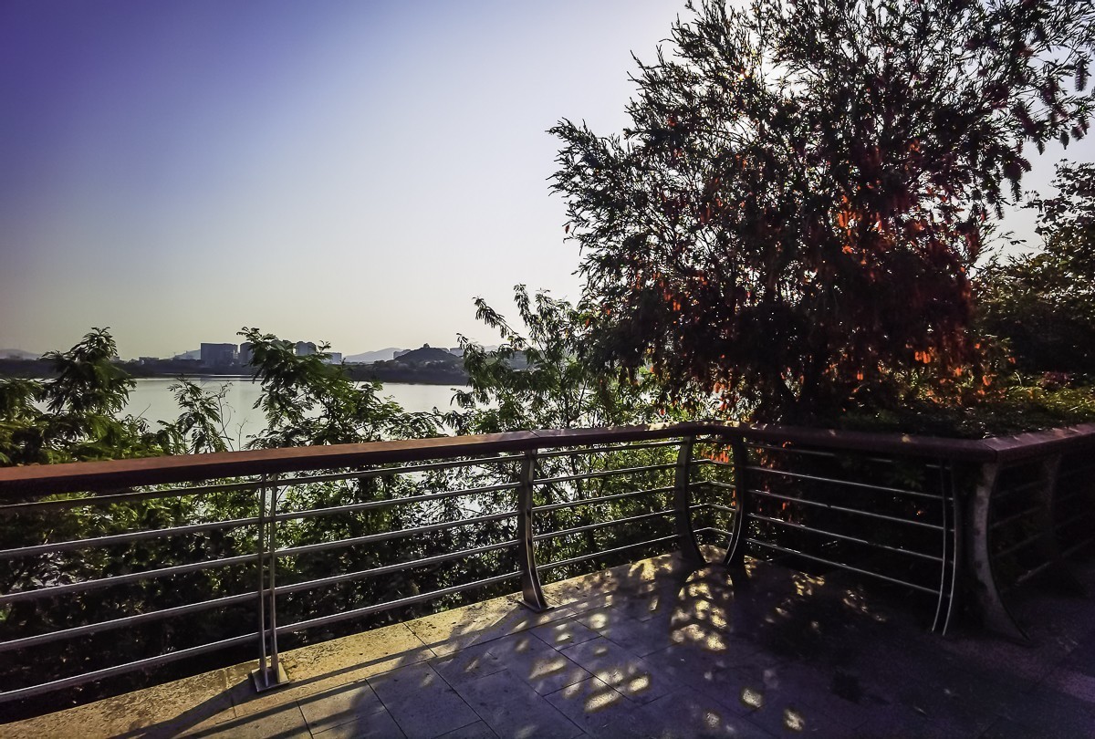 深圳立新湖公园～ 掠影