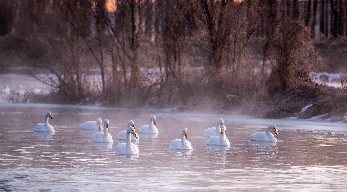 #版主坐堂#索尼大版星空(中国)2024年 2 月份优秀作品精选汇总