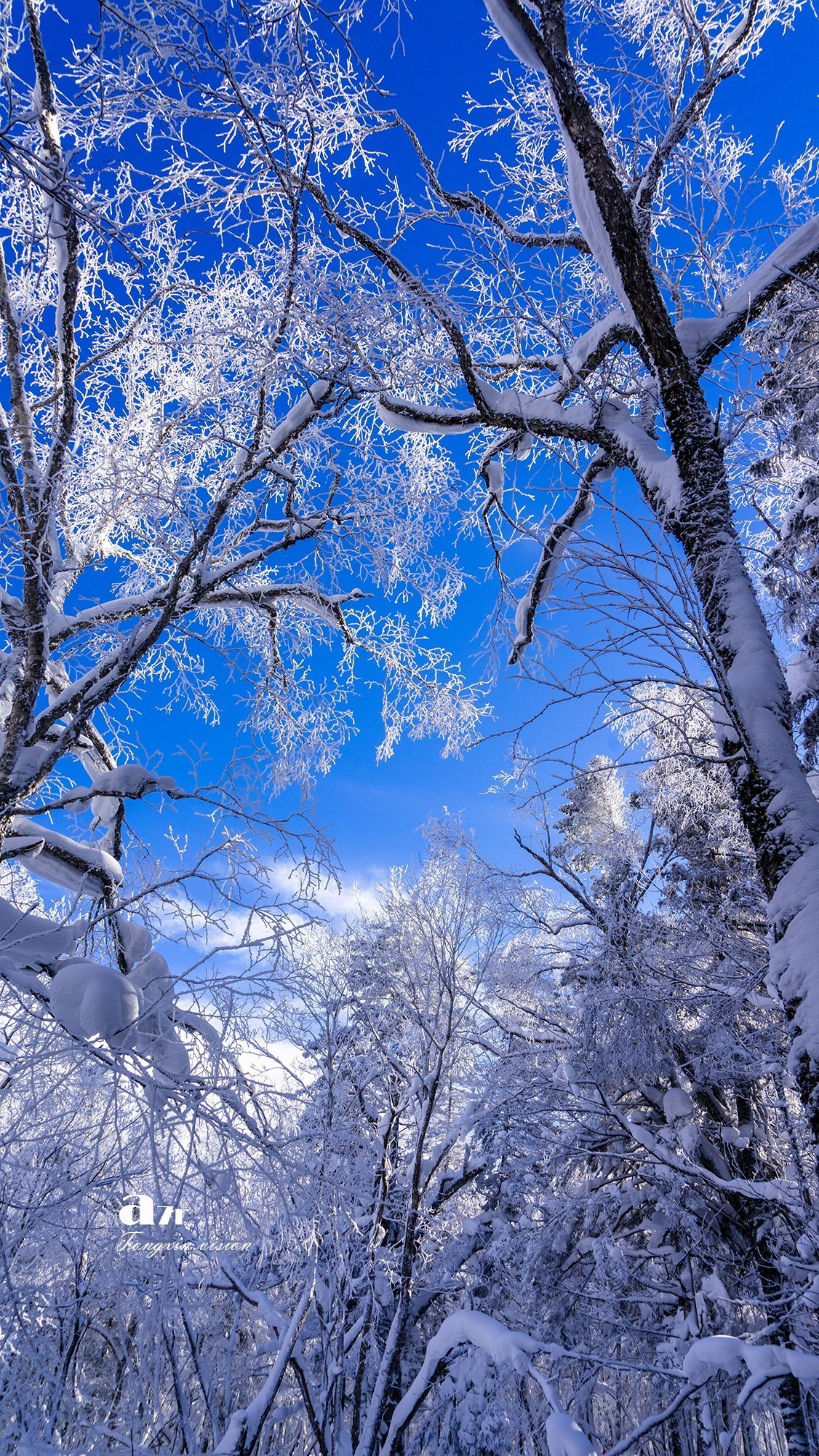 #版主坐堂#索尼大版星空(中国)2024年 2 月份优秀作品精选汇总