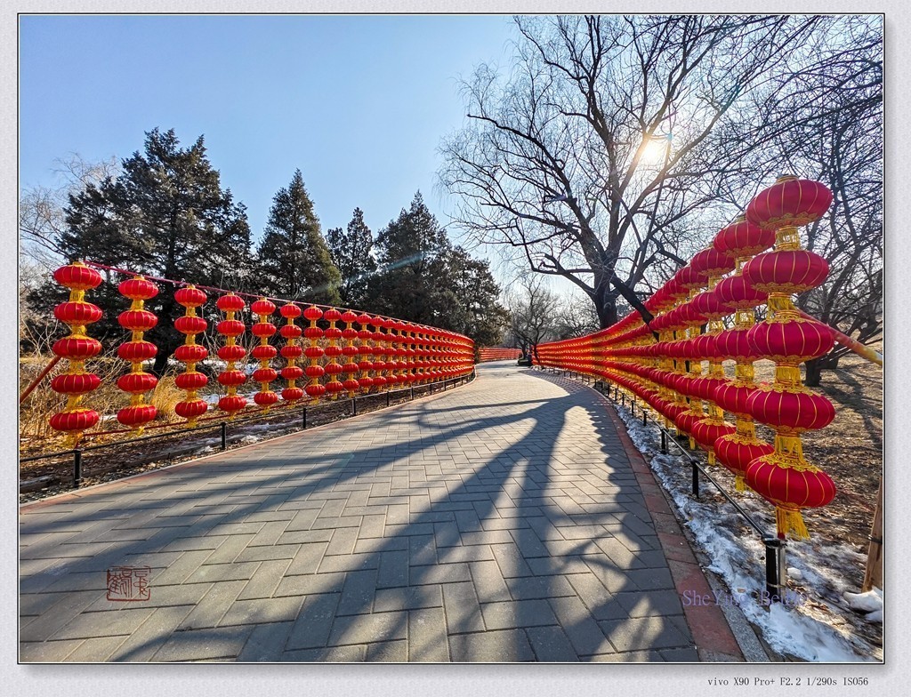 #版主坐堂#索尼大版星空(中国)2024年 2 月份优秀作品精选汇总