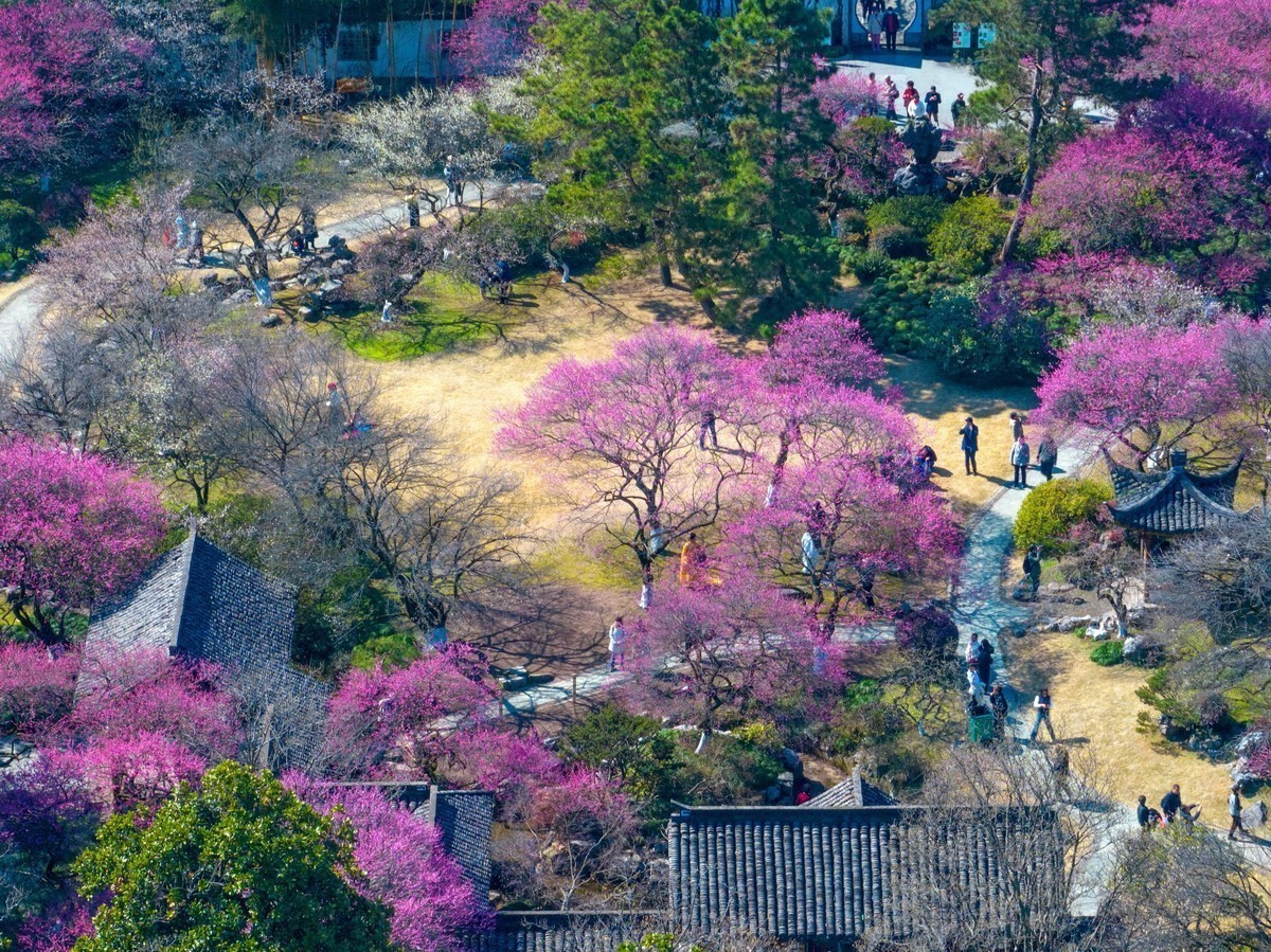 #版主坐堂#索尼大版星空(中国)2024年 2 月份优秀作品精选汇总
