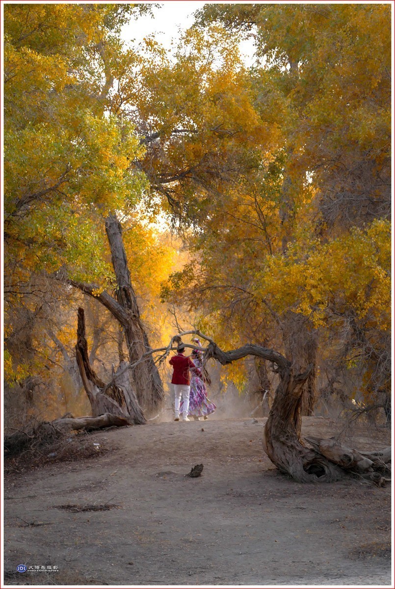 #版主坐堂#索尼大版星空(中国)2024年 2 月份优秀作品精选汇总