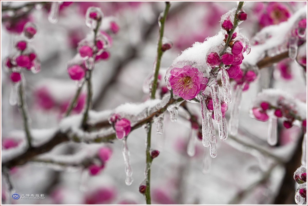 #版主坐堂#索尼大版星空(中国)2024年 2 月份优秀作品精选汇总