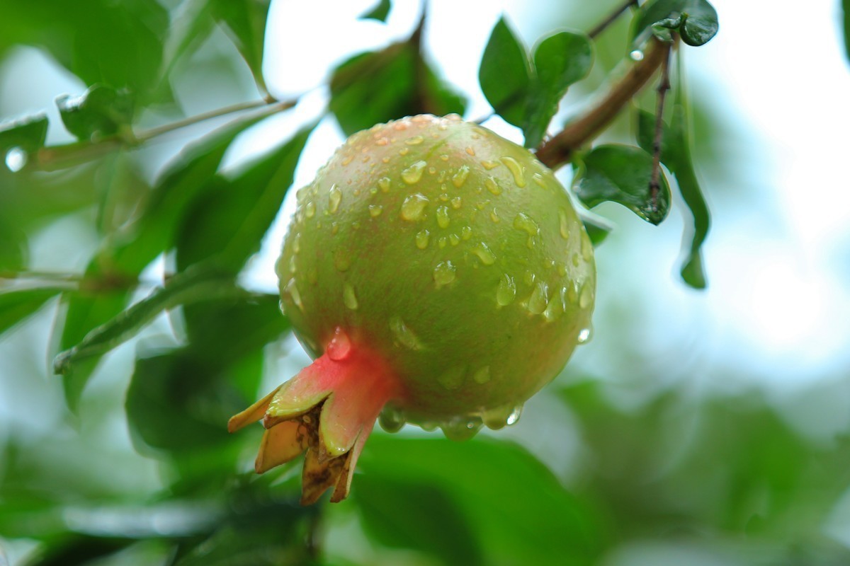 #版主坐堂#索尼大版星空(中国)2024年 2 月份优秀作品精选汇总