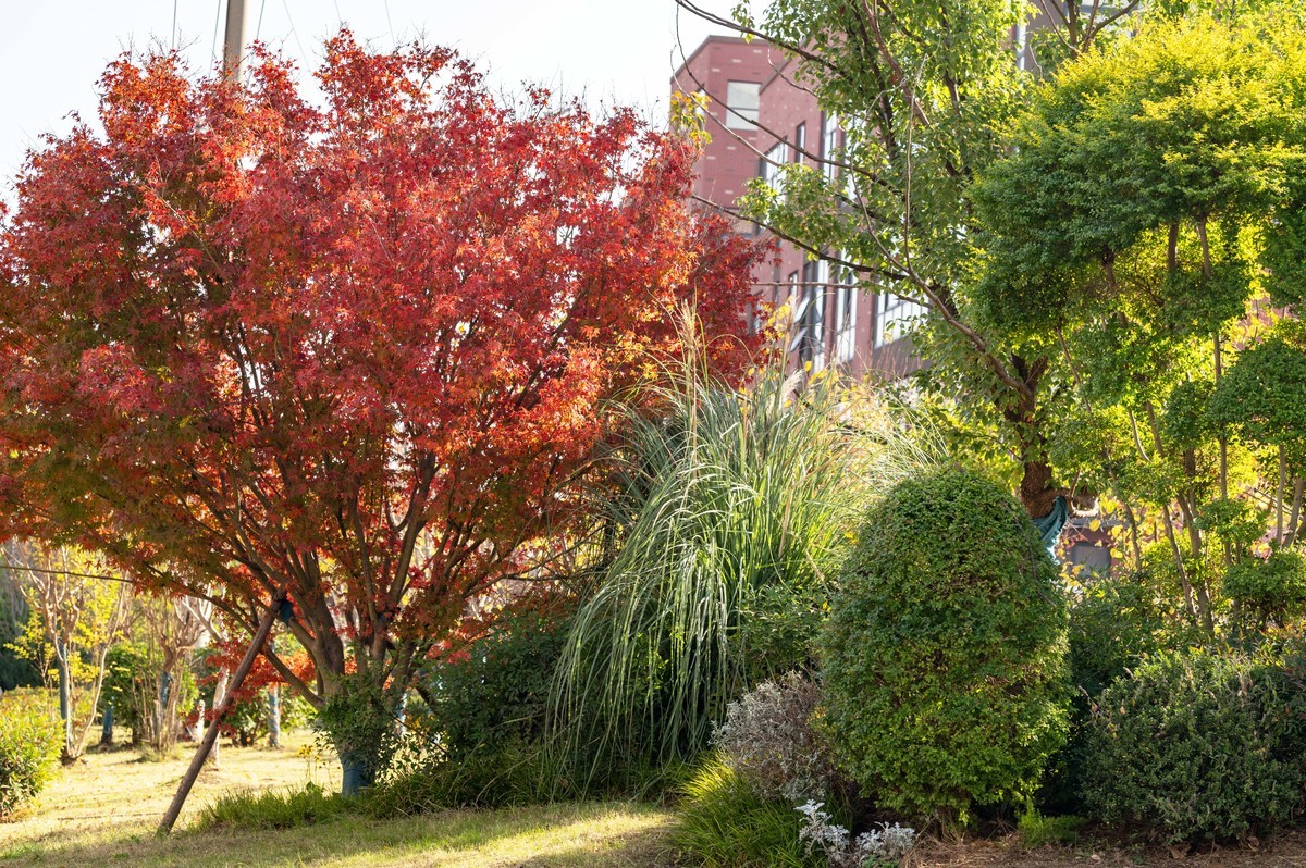 庐州印象（415）延乔路