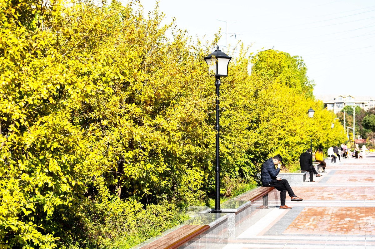 庐州印象（415）延乔路