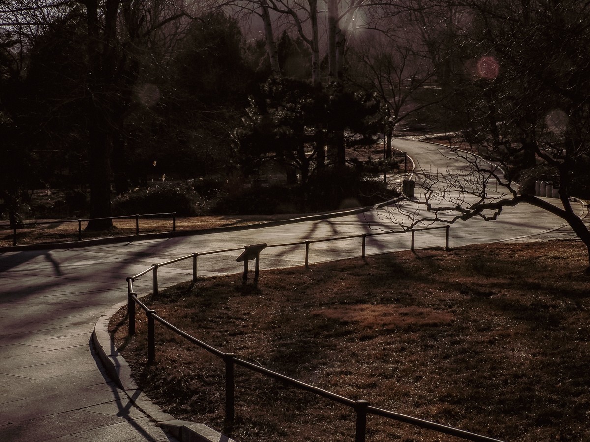 北京卧佛寺（国家植物园北园）