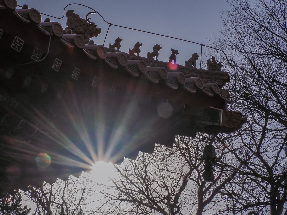 北京卧佛寺（国家植物园北园）