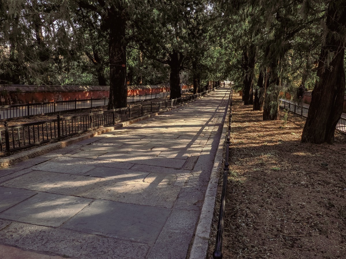 北京卧佛寺（国家植物园北园）