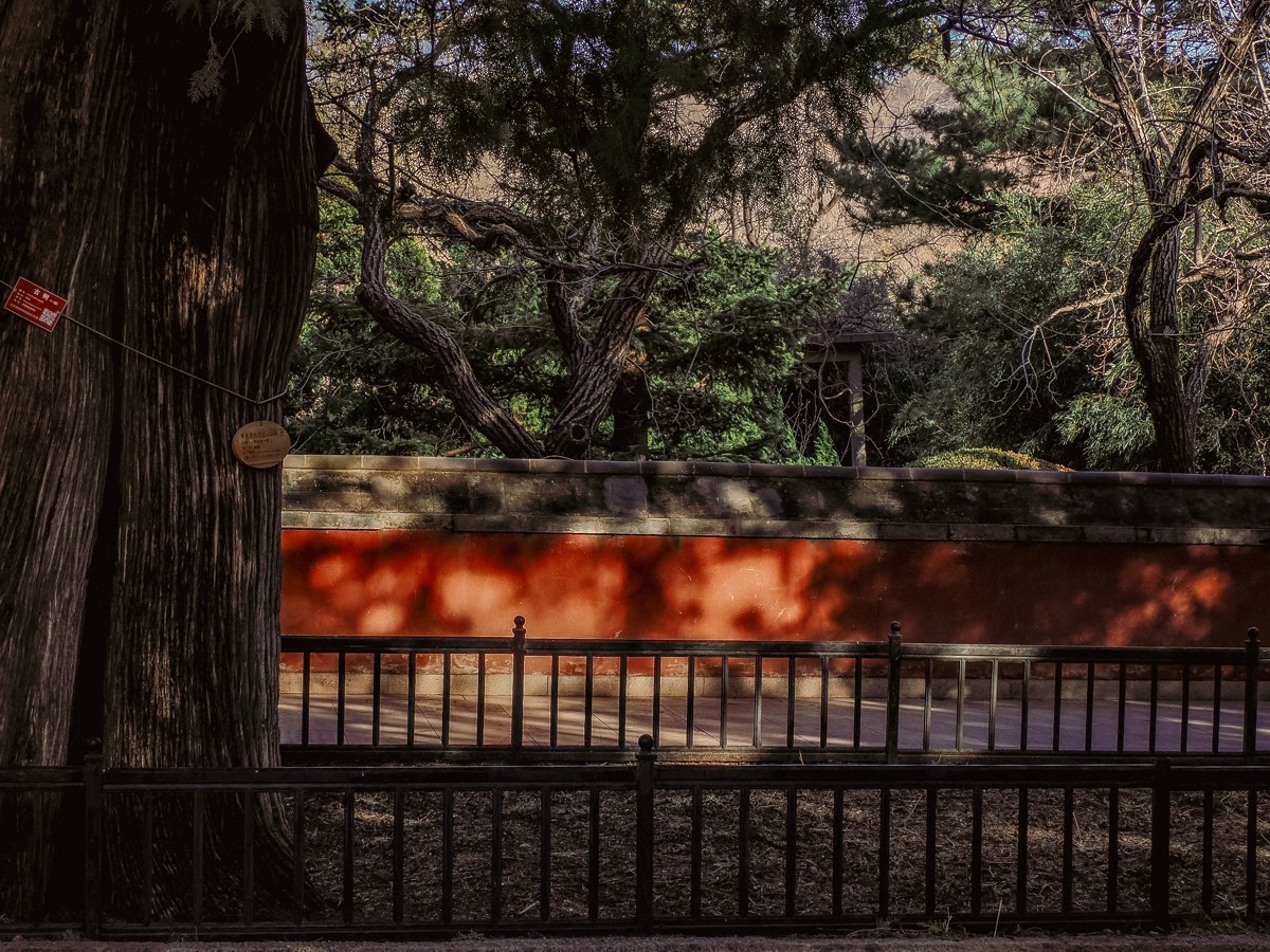 北京卧佛寺（国家植物园北园）