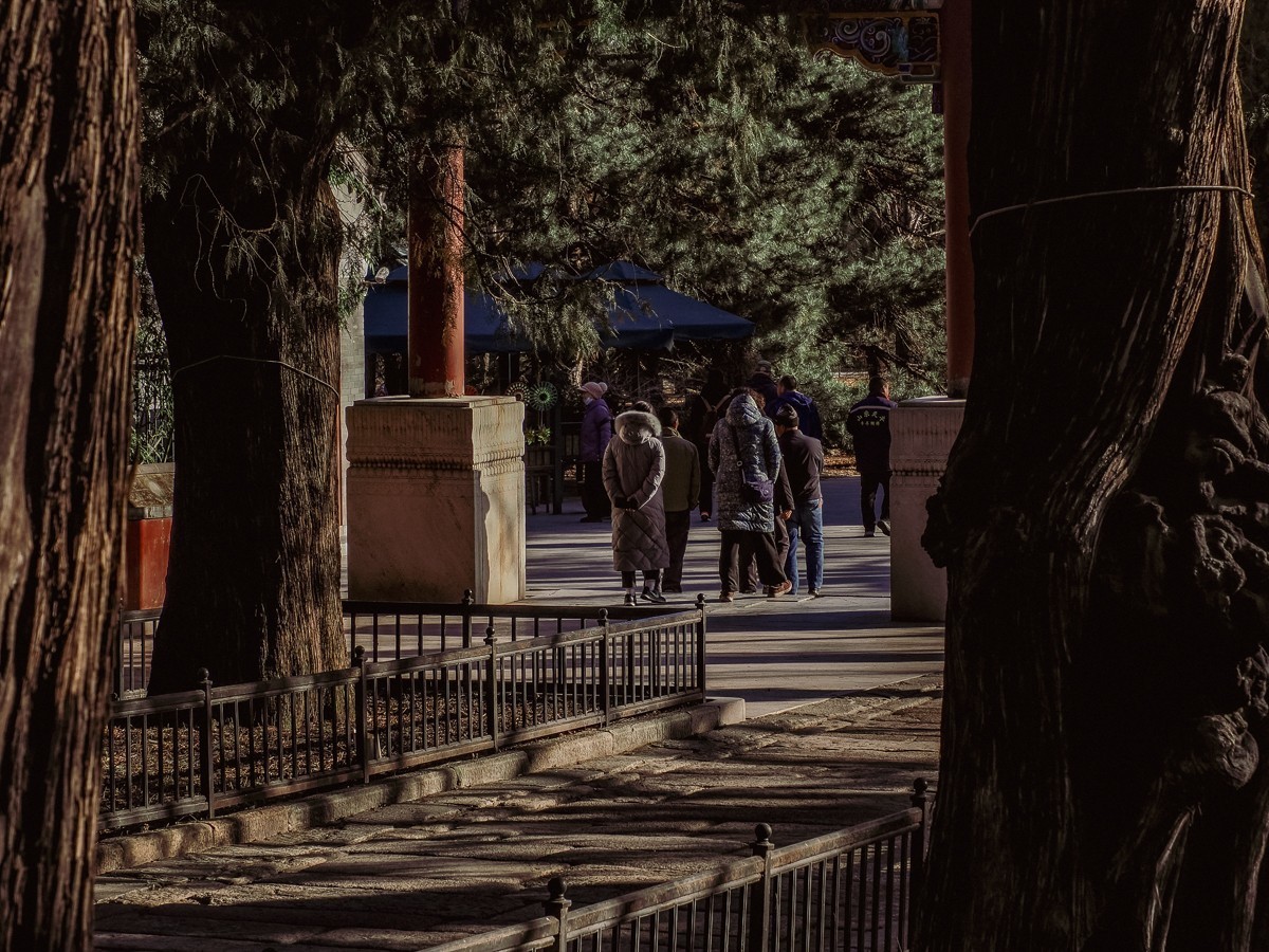 北京卧佛寺（国家植物园北园）