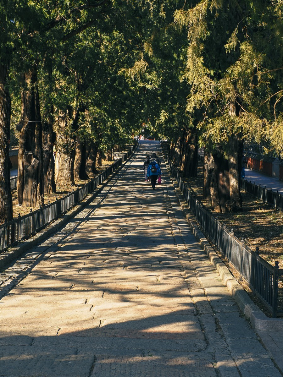 北京卧佛寺（国家植物园北园）