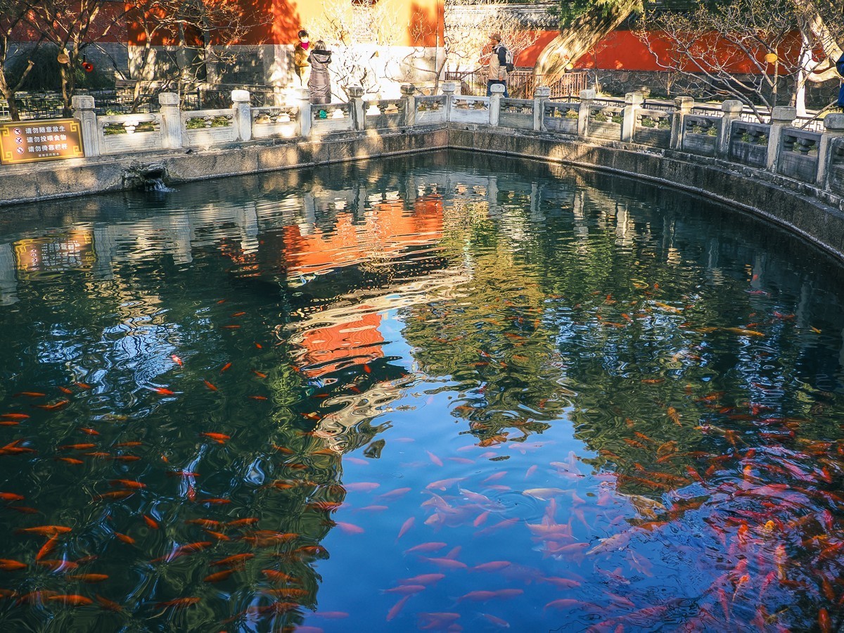 北京卧佛寺（国家植物园北园）