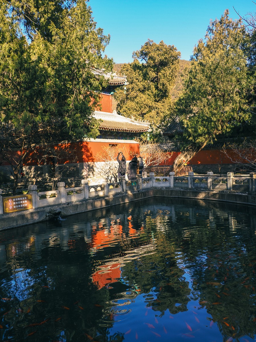 北京卧佛寺（国家植物园北园）