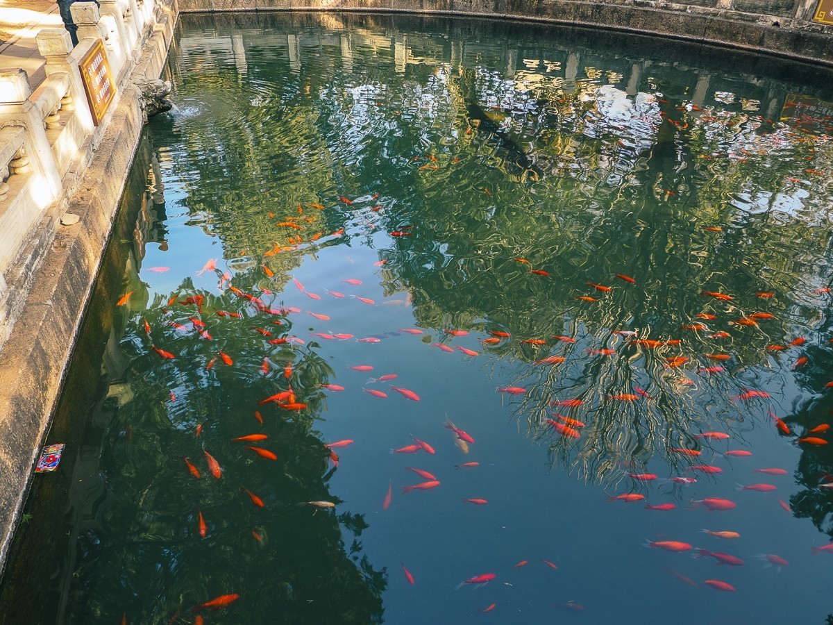 北京卧佛寺（国家植物园北园）