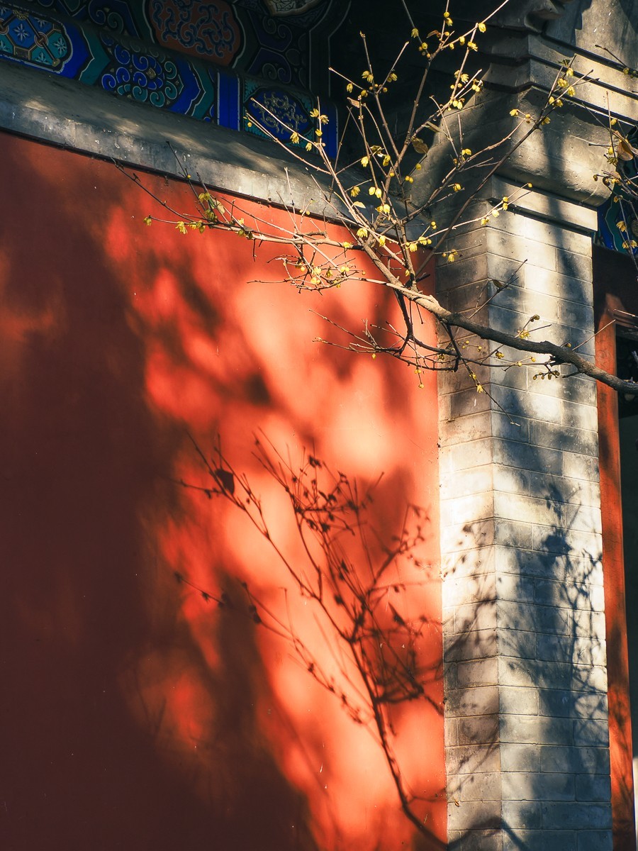 北京卧佛寺（国家植物园北园）