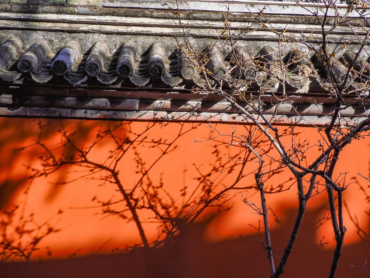 北京卧佛寺（国家植物园北园）