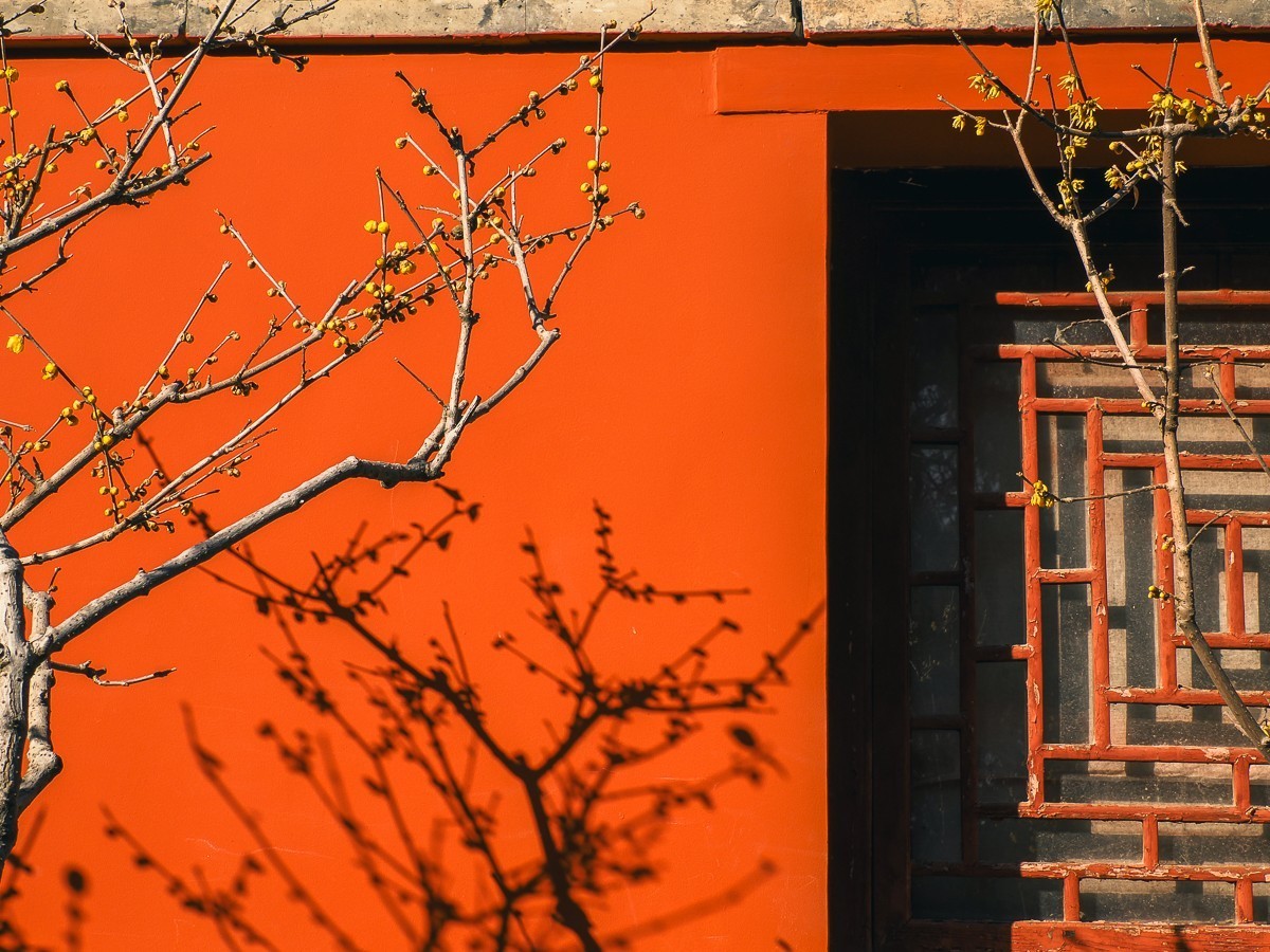 北京卧佛寺（国家植物园北园）