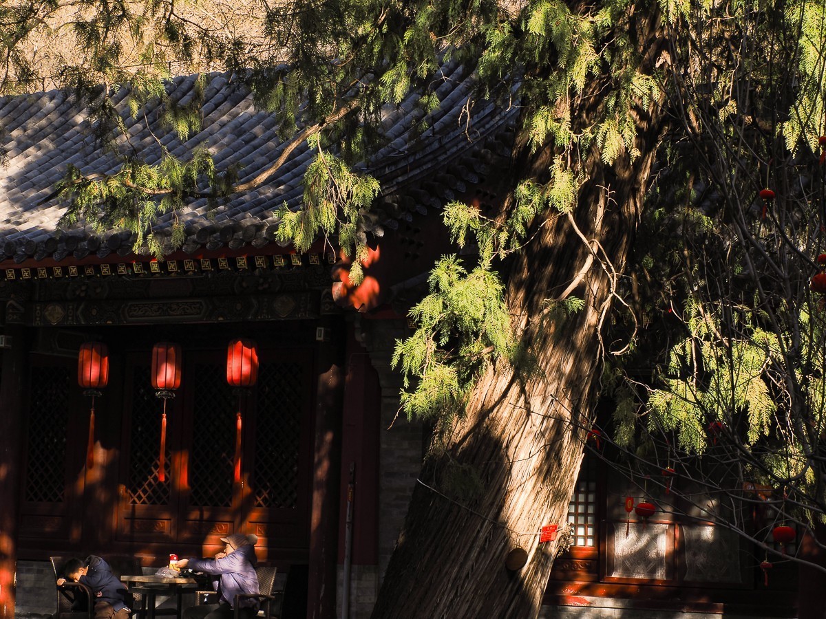 北京卧佛寺（国家植物园北园）