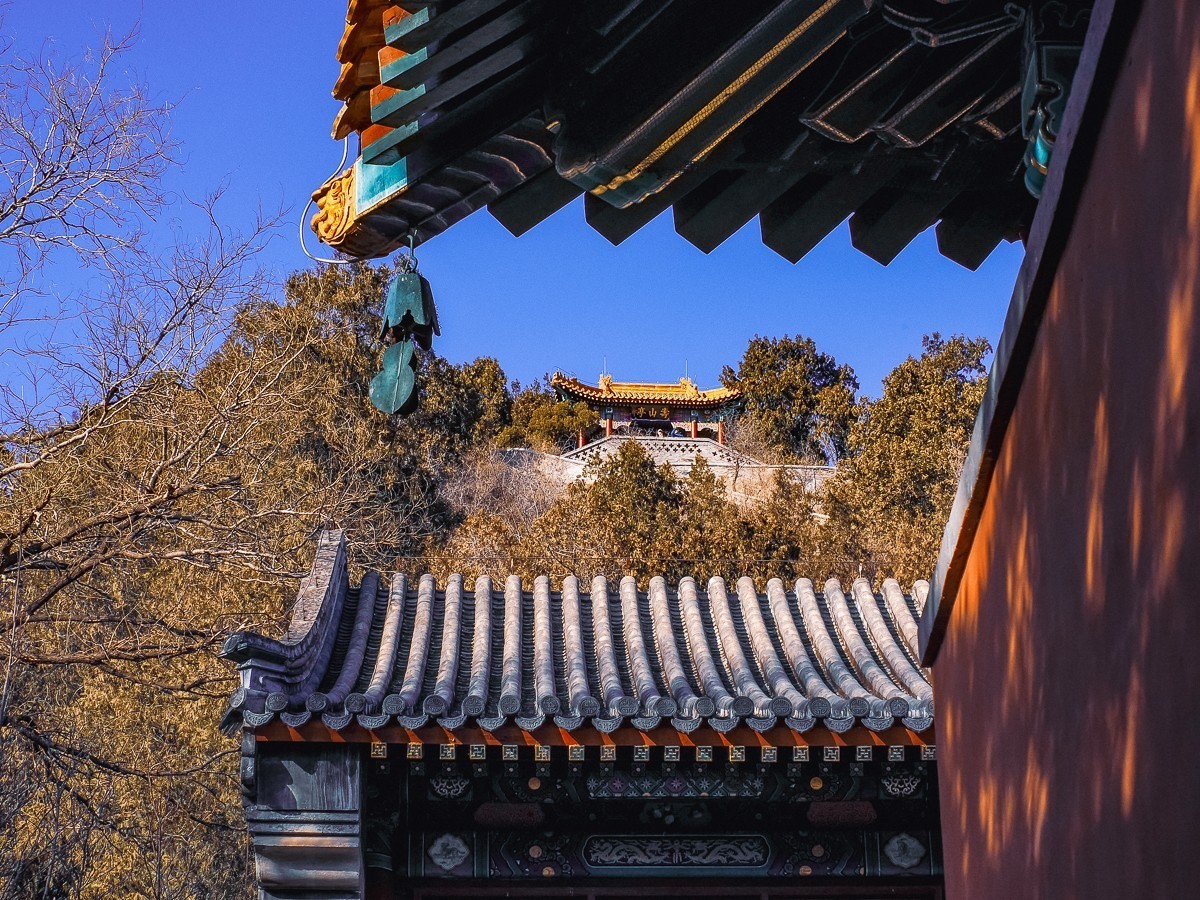 北京卧佛寺（国家植物园北园）