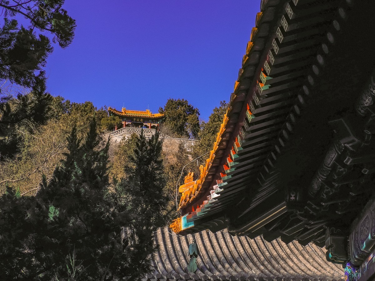 北京卧佛寺（国家植物园北园）