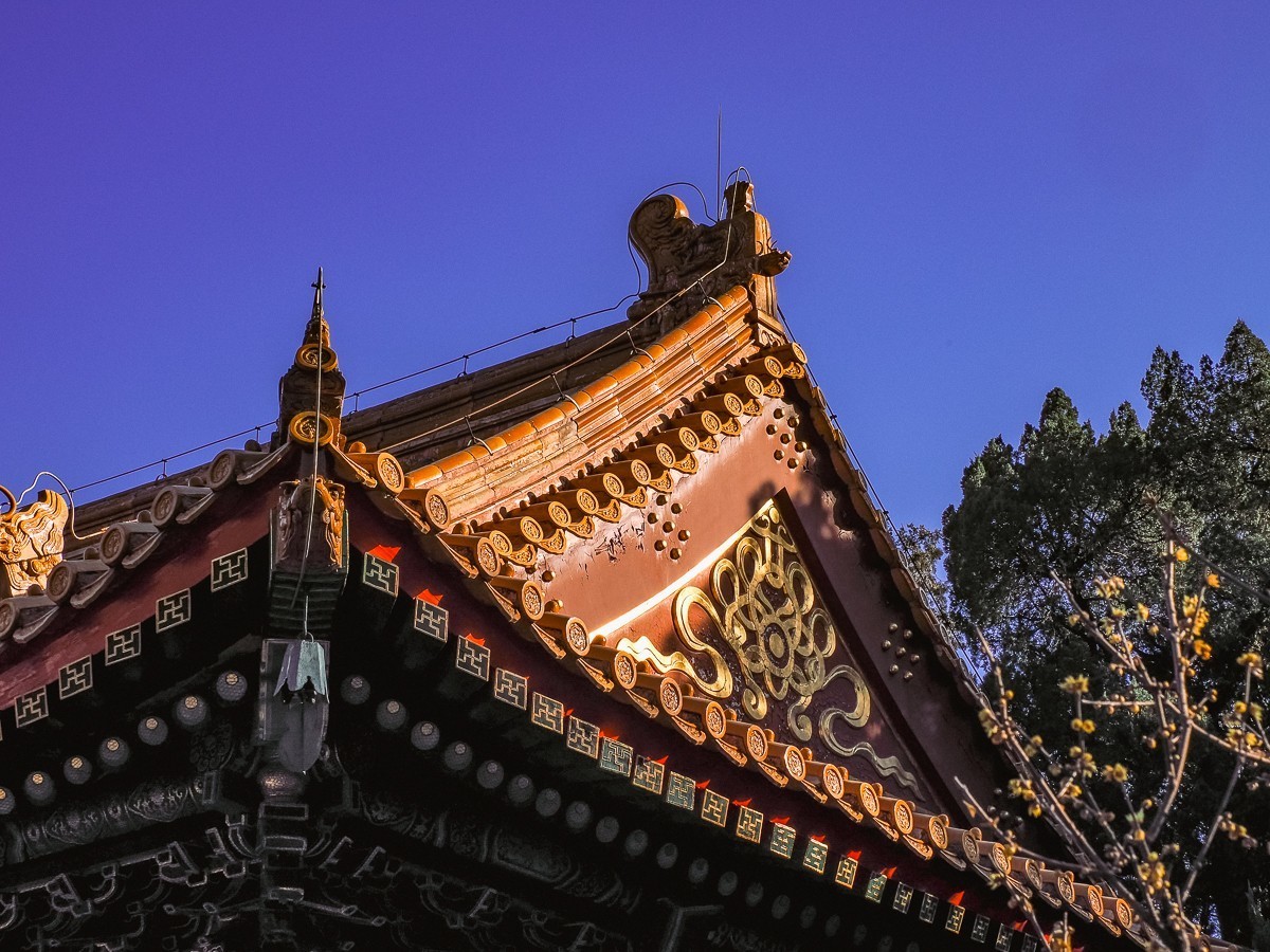 北京卧佛寺（国家植物园北园）