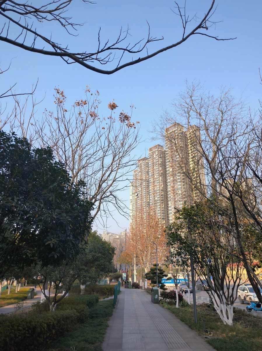 漫步星城 走街串巷（630）湘江新河段