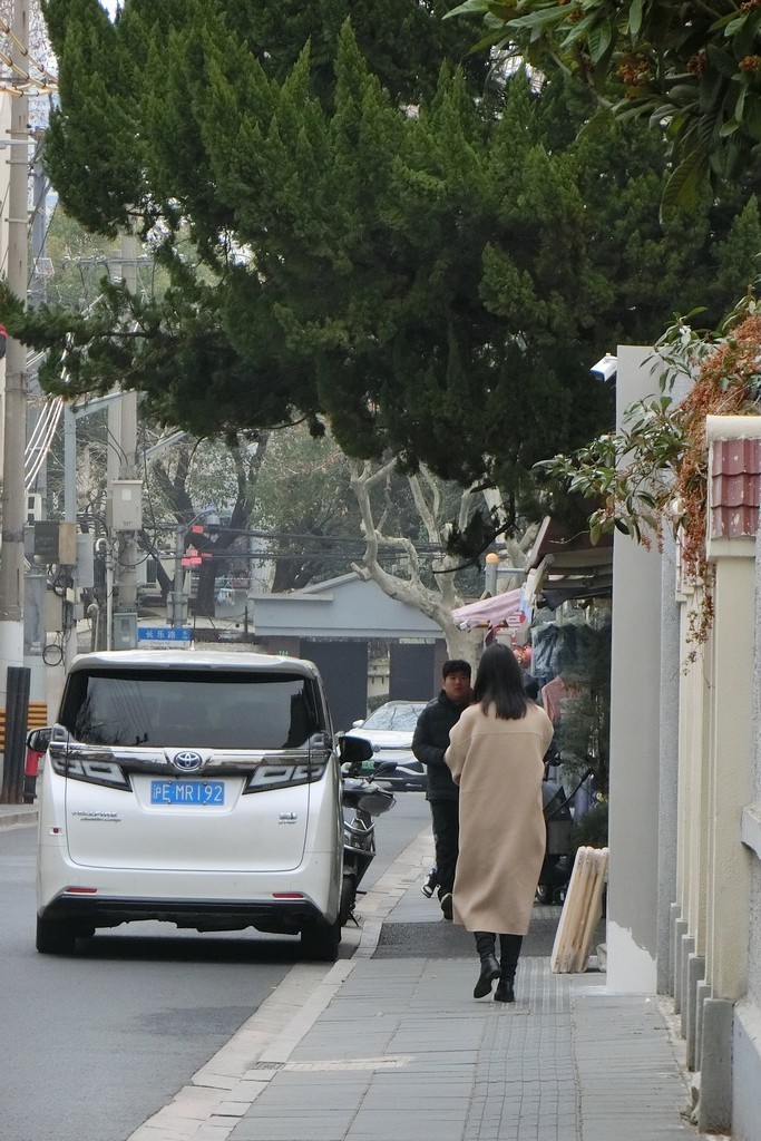 梧桐区的小马路 ------ 3