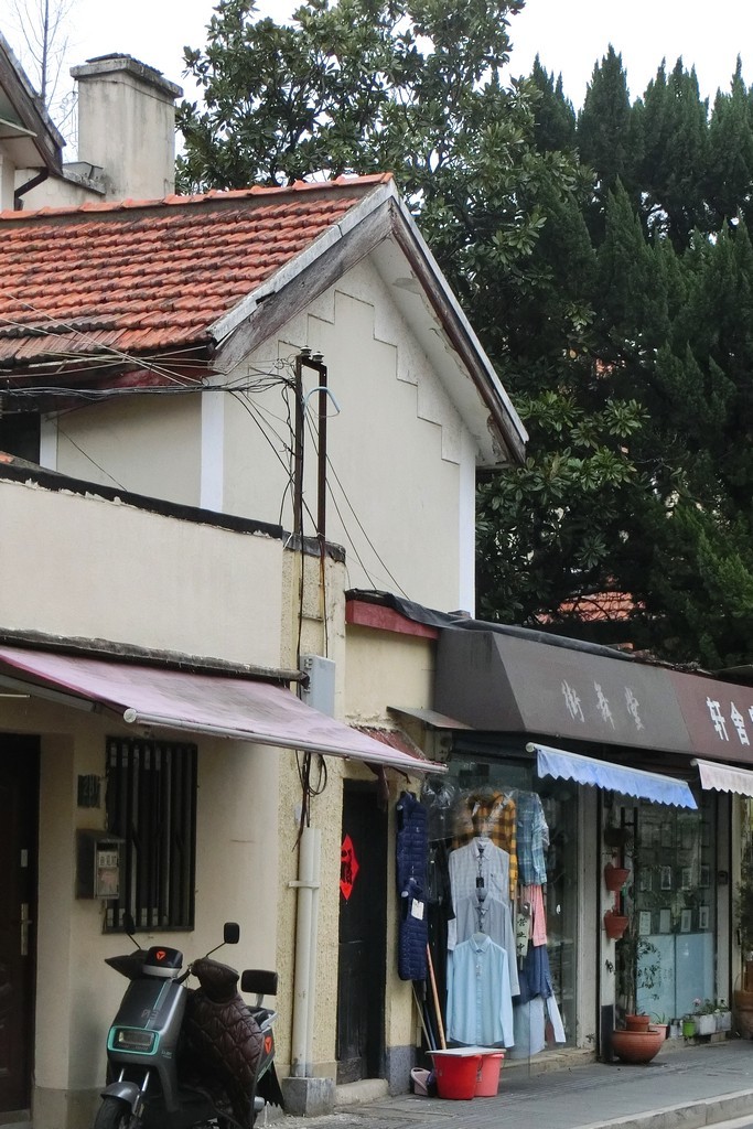 梧桐区的小马路 ------ 3