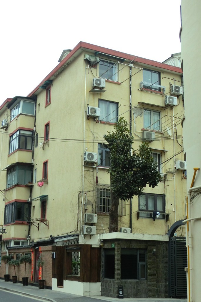 梧桐区的小马路 ------ 3