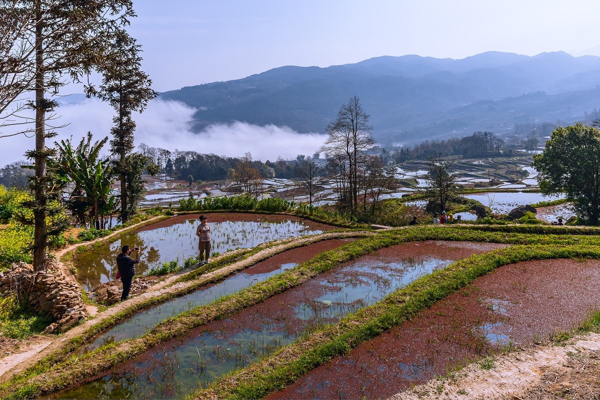 旅游记录 ：云南 · 红河 · 元阳 · 箐口村