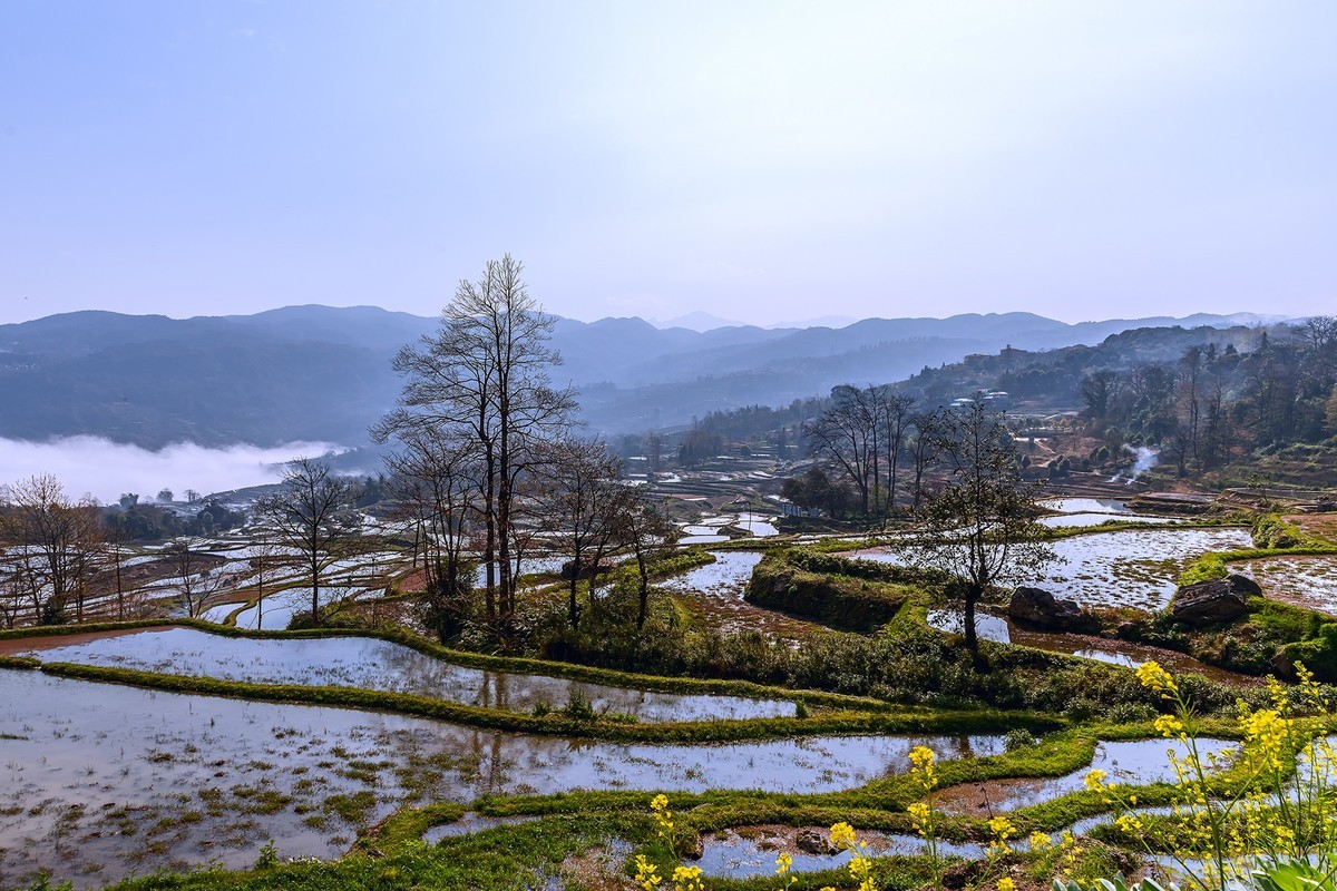 旅游记录 ：云南 · 红河 · 元阳 · 箐口村