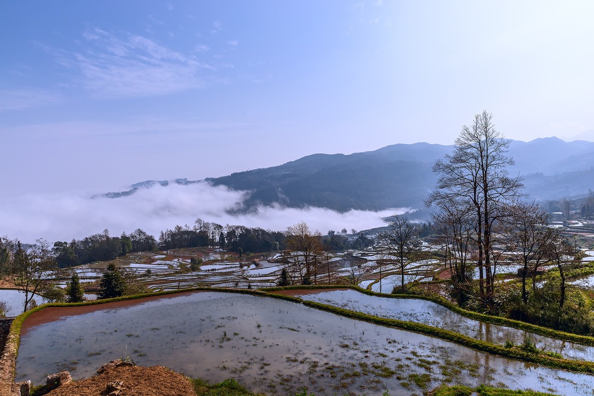 旅游记录 ：云南 · 红河 · 元阳 · 箐口村